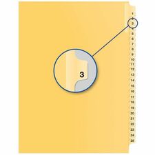 Quest QINQB11253 Index Divider