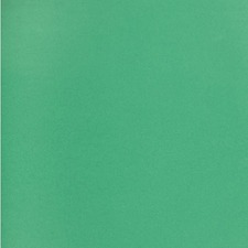 NAPP Colour Cardstock - 22" (558.80 mm)Width x 28" (711.20 mm)Length - 48 / Box - Green