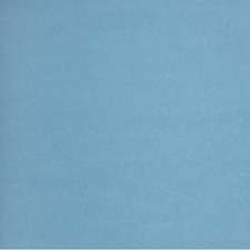 NAPP NPPC0248126 Card Stock