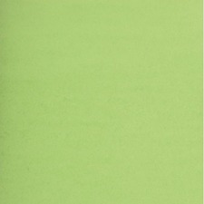 NAPP Colour Cardstock - 22" (558.80 mm)Width x 28" (711.20 mm)Length - 48 / Box - Light Green