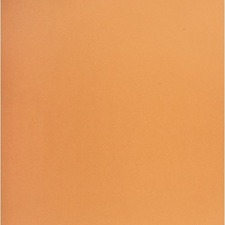 NAPP NPPC0248102 Card Stock