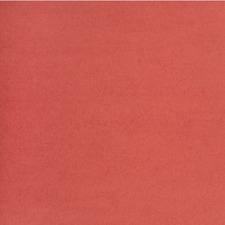NAPP Colour Cardstock - 22" (558.80 mm)Width x 28" (711.20 mm)Length - 48 / Box - Red