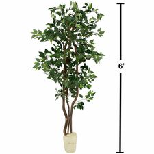 nudell 6ft Artificial Green Ficus Tree - 72" Tall - Ficus1 Each