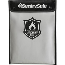 Sentry Safe SENFBWLZ0SSC Carry Bag