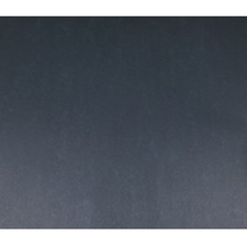 ACCO NPP0448135 Bristol Board