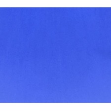 ACCO NPP0448108 Bristol Board