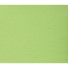 ACCO NPP0448106 Bristol Board