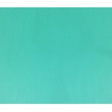 ACCO NPP0448125 Bristol Board