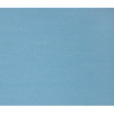 ACCO NPP0448126 Bristol Board