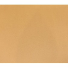 ACCO NPP0448102 Bristol Board