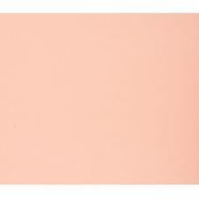 ACCO NPP0448114 Bristol Board