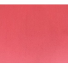ACCO NPP0448117 Bristol Board