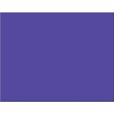 Pacon&reg; 4-Ply Railroad Board - Construction, Art Project, Mat, Mounting, Stencil, Poster, Chart, Painting, Marker - 22" (558.80 mm) x 28" (711.20 mm) - Purple - 1 Each