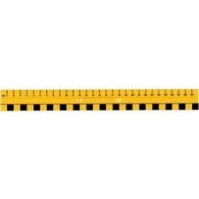 SPECTRUM Primary Ruler - Metric Measuring System - Plastic