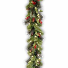 Product image for NLT729083173752