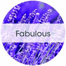 Product image for FRSTWDS11CT