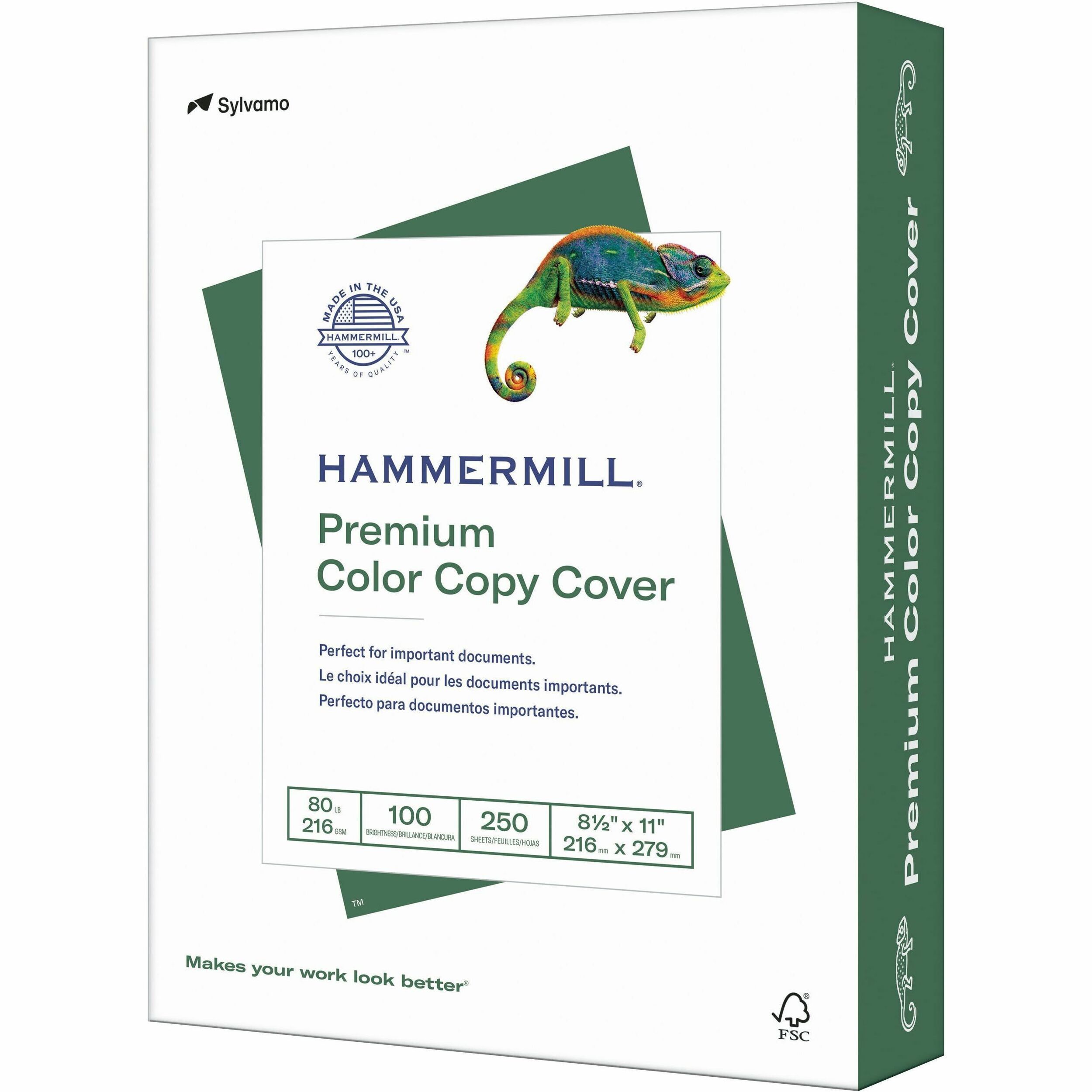 Hammermill Laser Paper for Laser Print, White, 8.50 x 11 - 500 sheets