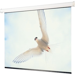 Draper Targa 116193 Electrol Projection Screen