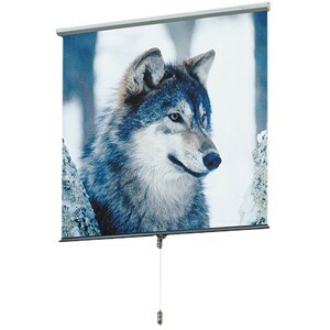 Draper Luma 207013 99" Manual Projection Screen