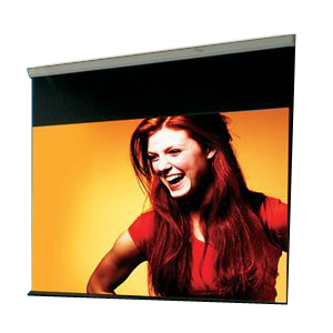 Draper Luma Manual Projection Screen