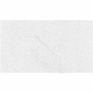 Geographics Business Card