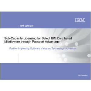 IBM WebSphere Portal Server - License - 20 Authorized User