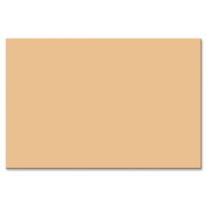 Peacock Cons Paper, 12x18 , 50Shts, 25/PK, Lt Brown