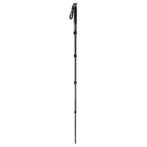 Gitzo Series 3 GM3551 Monopod