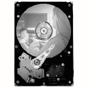 Seagate SV35.5 ST31000525SV 1 TB Hard Drive - 3.5" Internal - SATA (SATA/300)