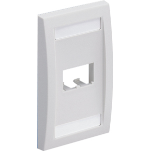 PANDUIT 2-Socket Faceplate