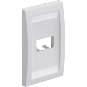 PANDUIT 2-Socket Faceplate