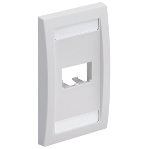 Panduit Mini-Com 2 Sockets Single Gang Faceplate