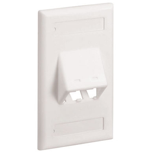 PANDUIT 2-Socket Faceplate