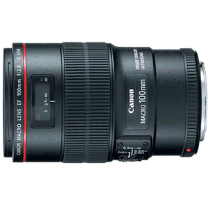 Canon EF 100mm f/2.8L IS USM Macro Lens