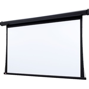 Draper Premier 110" Projection Screen