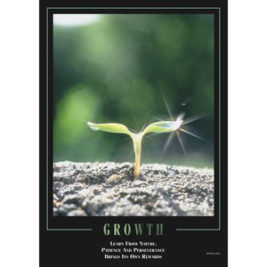 Aurora Learn From Nature Motivational Poster
