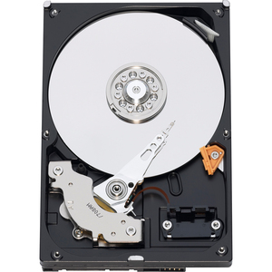 WD AV WD3200BVVT 320 GB Hard Drive - 2.5" Internal - SATA (SATA/300)