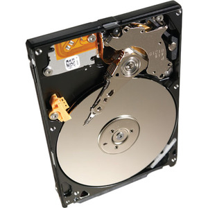 Seagate-IMSourcing NOB - Momentus ST320LT007 320 GB Internal Hard Drive
