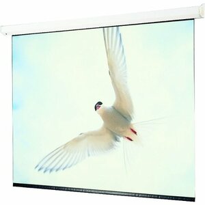 Draper Targa 94" Electric Projection Screen