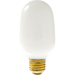 Smart Electric Smart Timer Bulb: Auto-Off 10-Minute