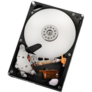IMS SPARE - HGST-IMSourcing Ultrastar A7K2000 HUA722050CLA330 500 GB 3.5" Internal Hard Drive