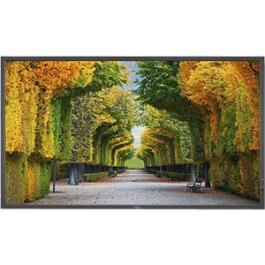 NEC Display 55" LED Backlit High Brightness Display