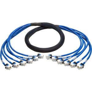 Tripp Lite Cat6a 10G Pre-Terminated Copper Trunk Assembly (6x RJ45 F/F) Blue 10 ft. (3.05 m)