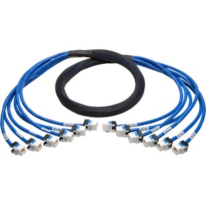 Tripp Lite Augmented Cat6/Cat6a Pre-Terminated Copper Trunk Bundle, (6x) RJ45 (F/F), 6 ft