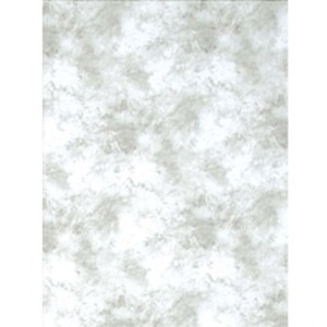 Promaster Cloud Dyed Backdrop - 10' x 12' - Light Gray