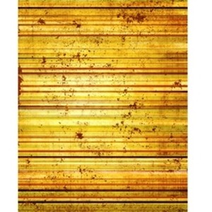 Promaster Scenic Backdrops - 8' x 10' - Bamboo