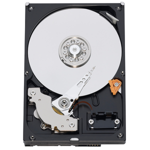 WD WD5002ABYS 500 GB Hard Drive - 3.5" Internal - SATA (SATA/300)