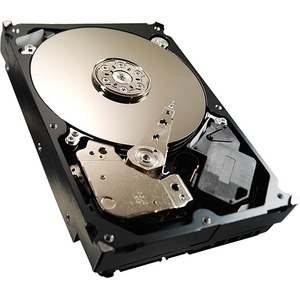 Seagate-IMSourcing DS Pipeline HD ST3500312CS 500 GB Hard Drive - Internal - SATA (SATA/300)