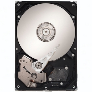 Seagate-IMSourcing DS BarraCuda ES ST31000340NS 1 TB Hard Drive - 3.5" Internal - SATA (SATA/300)
