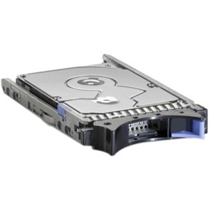 IBM - Ingram Certified Pre-Owned 300 GB Hard Drive - 2.5" Internal - SAS (6Gb/s SAS)